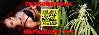 кокс Пугачёв