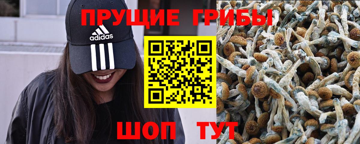 купить закладку  Псилоцибиновые грибы Psilocybe  Псилоцибиновые грибы Cubensis  Вход с VPN  Рубцовск 