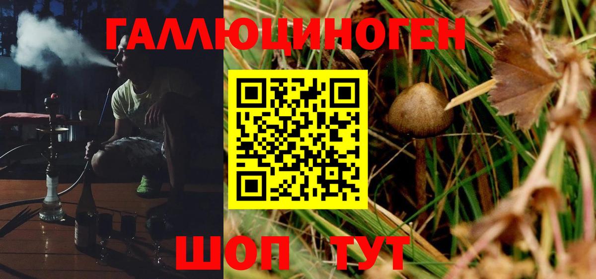 Псилоцибиновые грибы мицелий Рубцовск